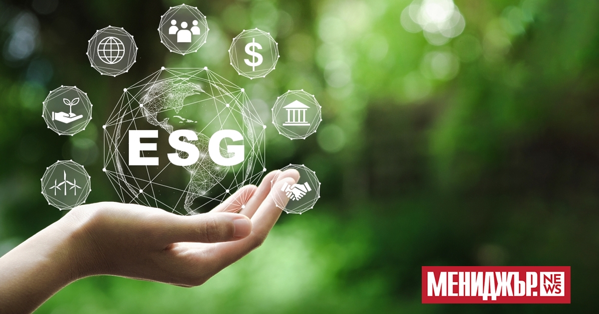 Когато интересът на Уолстрийт към устойчивостта започна да нараства преди