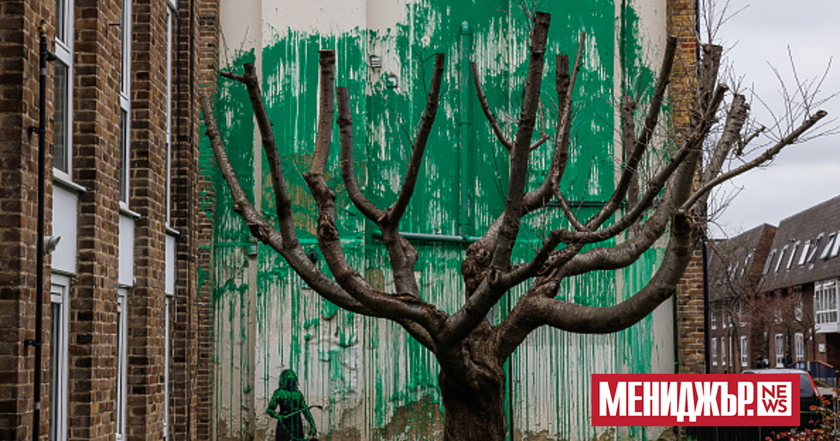 В понеделник, на една сива улица в Северен Лондон се