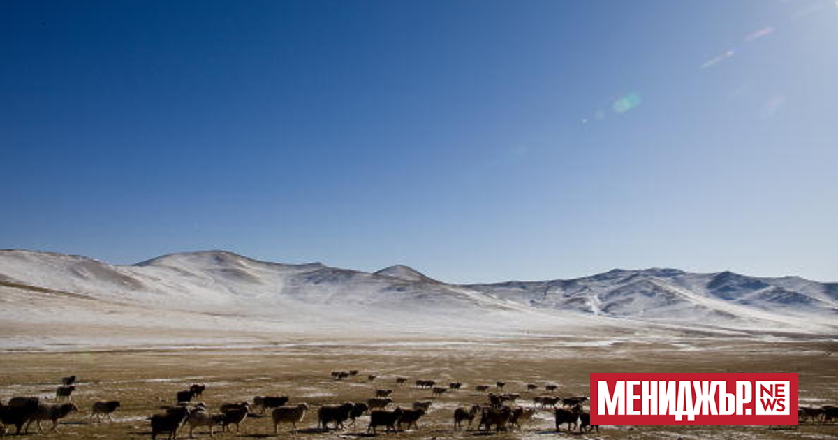 Монголските власти обявиха началото на международен открит търг за разработване
