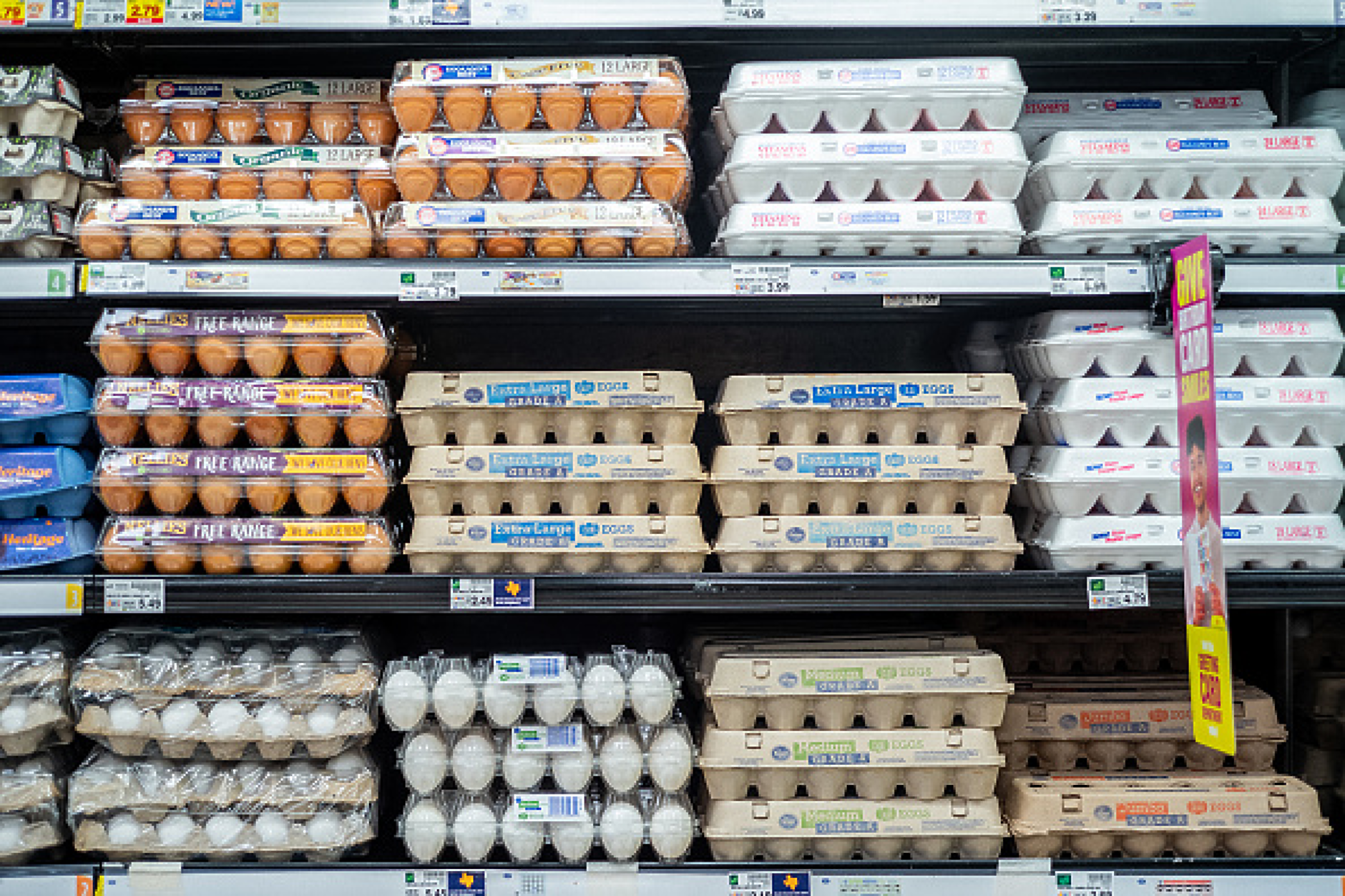 Взрив на птичи грип затвори завод на най-големия производител в САЩ и повиши цените на яйцата 