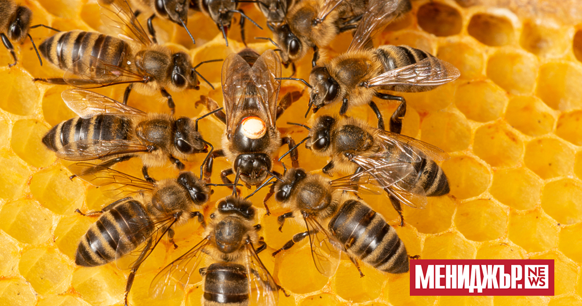 Учени от Вашингтонския университет показаха с климатични модели и модели