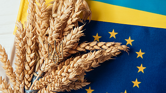 Страните от ЕС се споразумяха за ограничения върху вноса на украински хранителни продукти