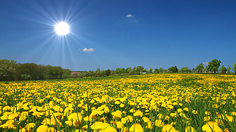 Продължават летните горещини през април Времето ще бъде слънчево и