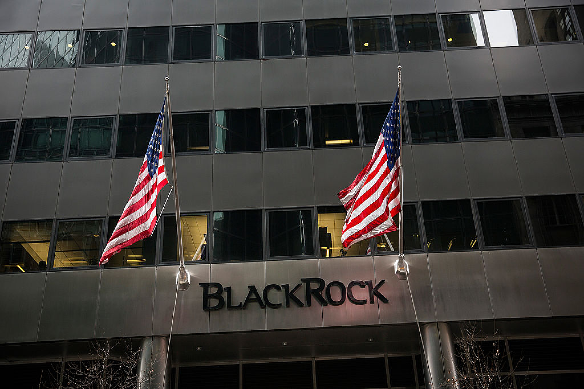 BlackRock: Глобалният енергиен преход ще изисква 4 трлн. долара годишно до следващото десетилетие