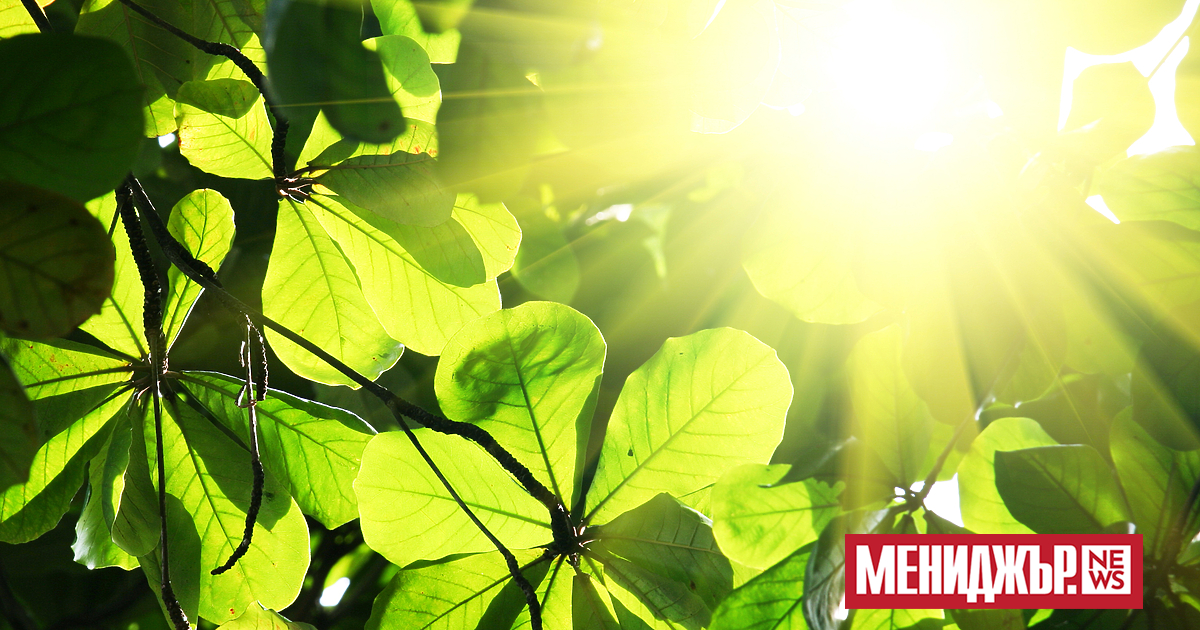 Предимно слънчево и доста топло ще бъде и днес, като максималните