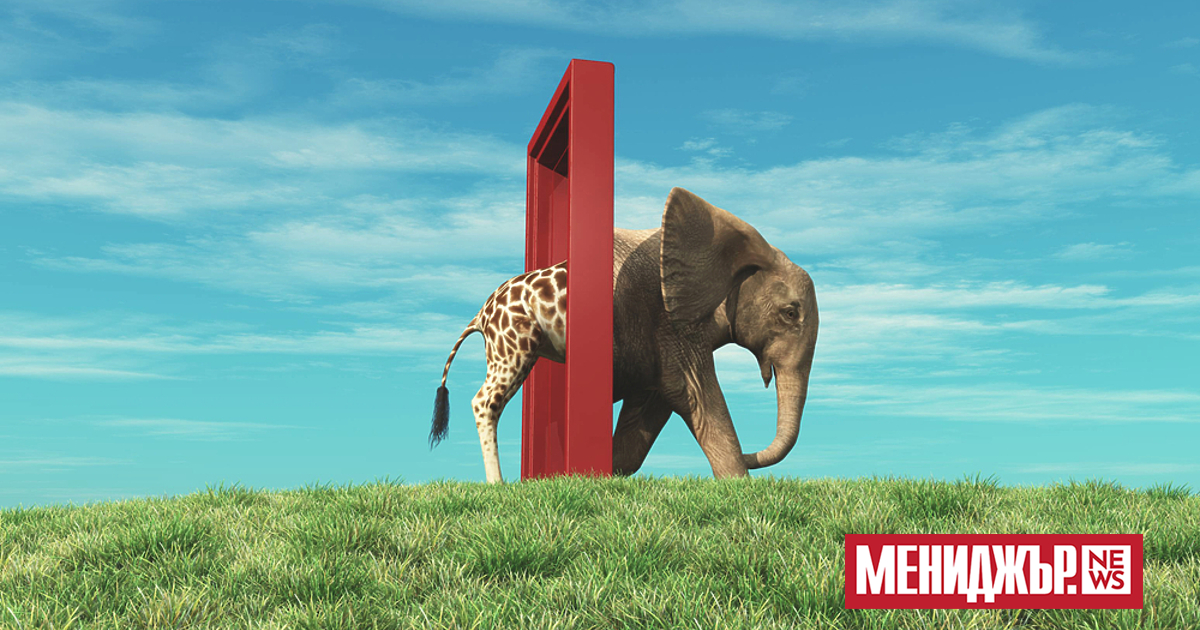 Ако сте като повечето хора, имате област (или две) в