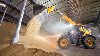 Повишение в цените на хлебната пшеница и на царевицата на