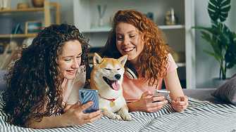 В днешния динамичен икономически пейзаж извънредните финансови ситуации могат да