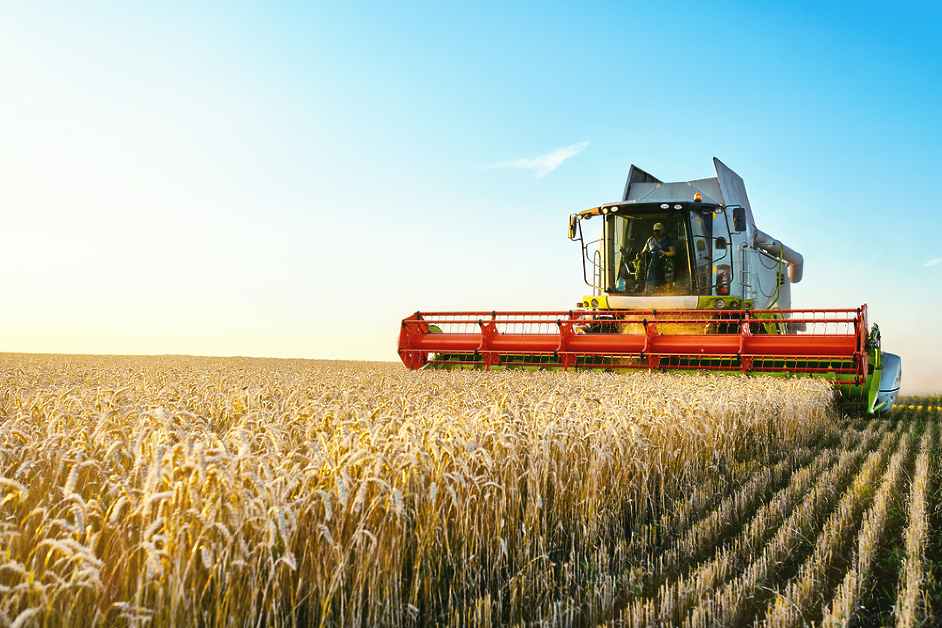 Цените на основните зърнени стоки по световните борси вървят нагоре, а у нас са спокойни през тази седмица