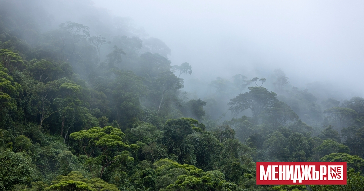 Преди няколко години ESG политиката беше водещ приоритет на почти