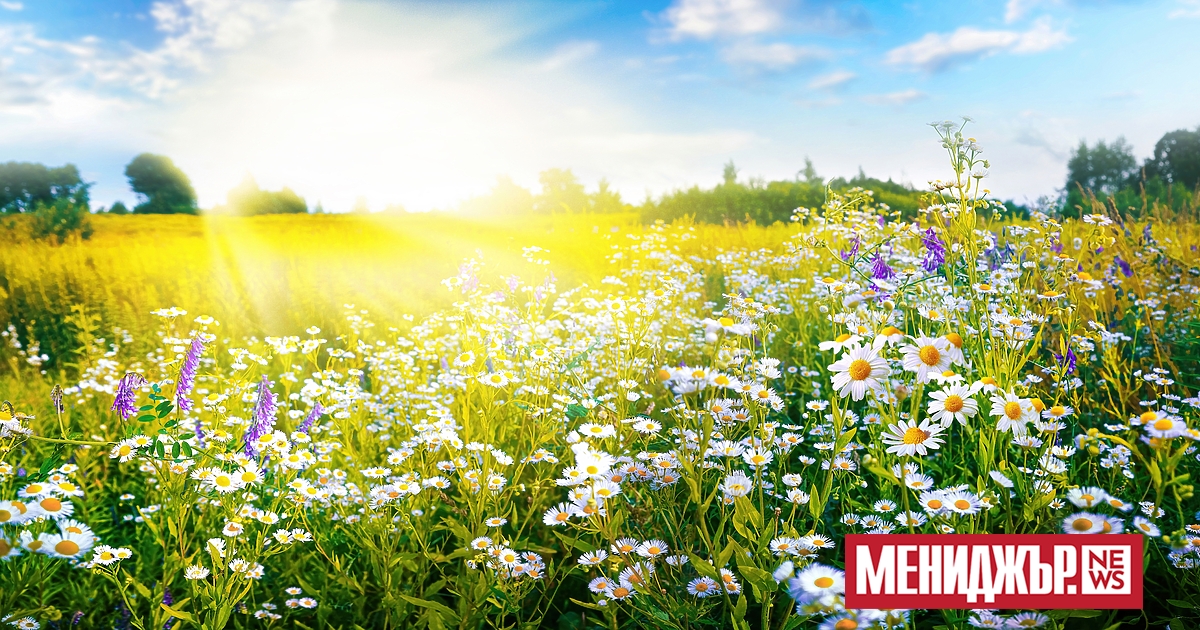 Облачното и дъждовно време от последните дни днес ще отстъпи
