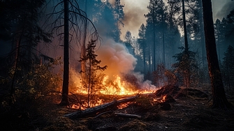 Замърсяването на въздуха в Калифорния от горските пожари в периода