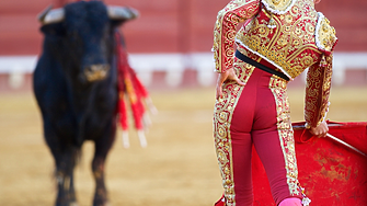 Конгресът на Колумбия забрани борбите с бикове