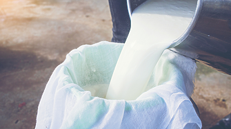 160 млн. тона сурово мляко са произвели фермите в ЕС за година 