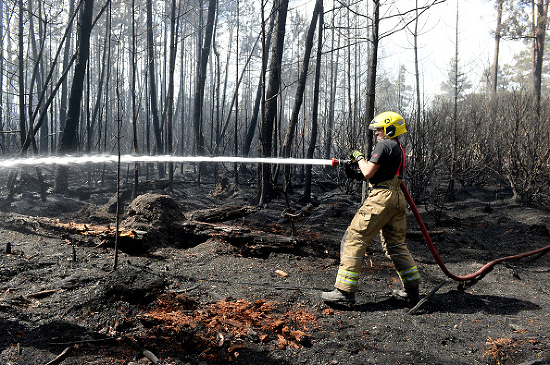 Български пожарникари отиват на помощ на гръцките си колеги 