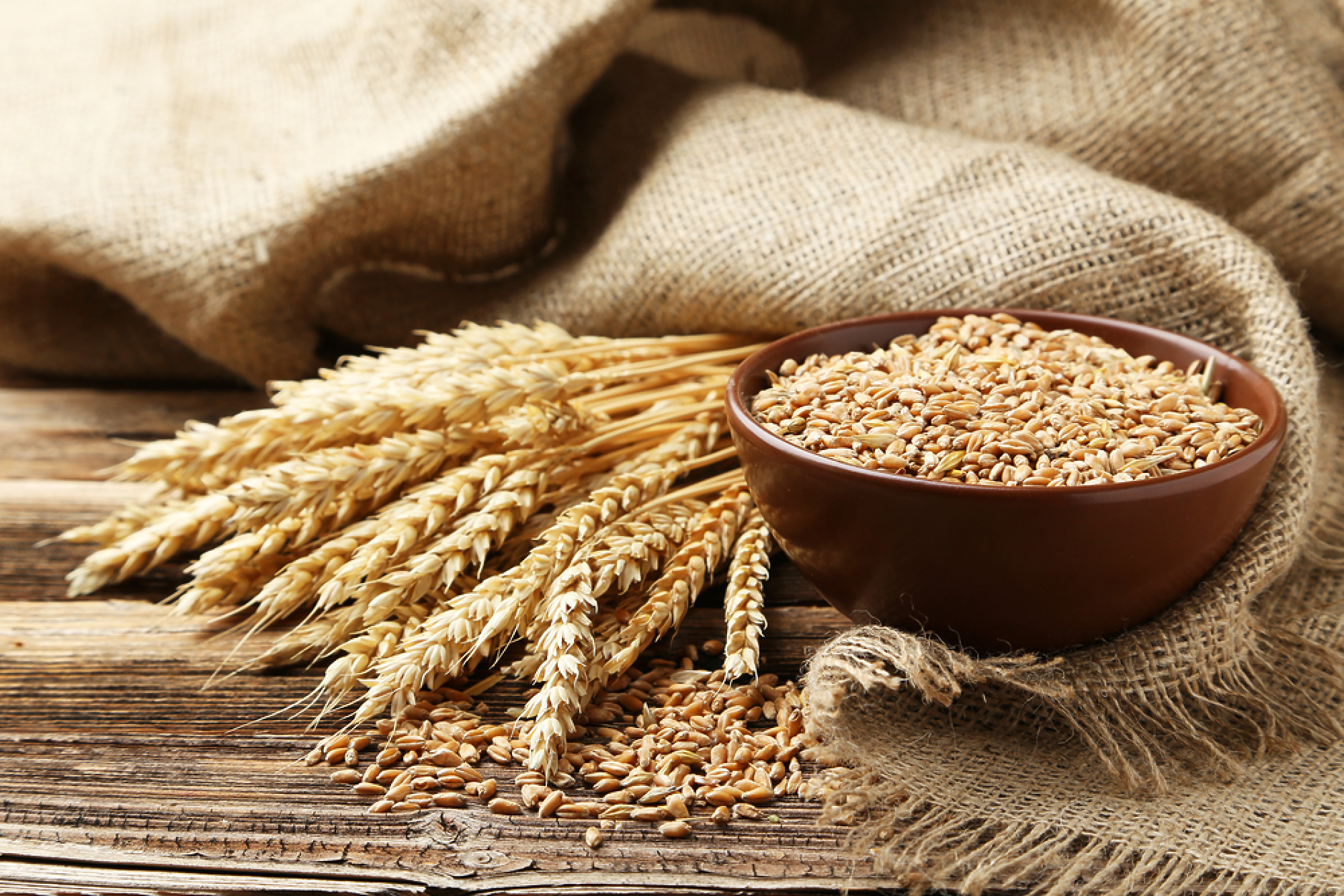 Продължава спадът в цените на много от основните зърнени стоки на световните борси