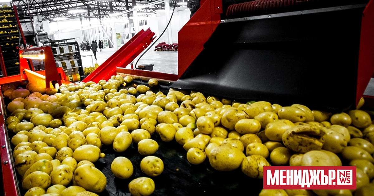 България е в топ 3 на страните от Европейския съюз