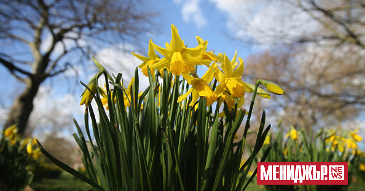 Днес времето  у нас ще бъде слънчево, след обяд с