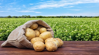 От днес земеделските стопани отглеждащи картофи орехи бадеми лешници и