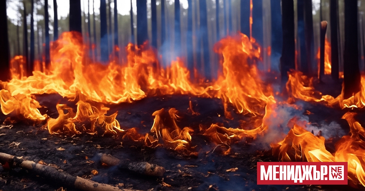 Гасенето на пожари в Хасковско и Пловдивско продължава. Това съобщиха