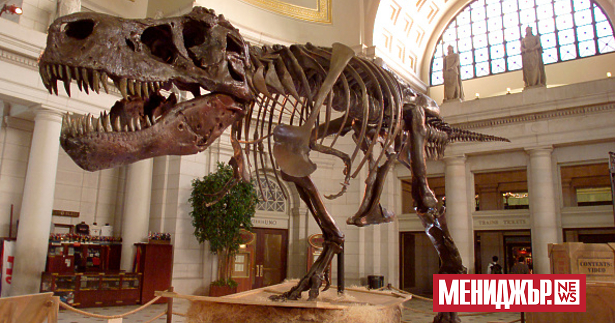 Голям скелет на динозавър продаде 44,6 милиона долара на търг