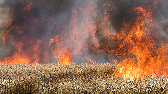 Ще могат да компенсират пострадалите от пожарите земеделски стопани чрез помощта de minimis
