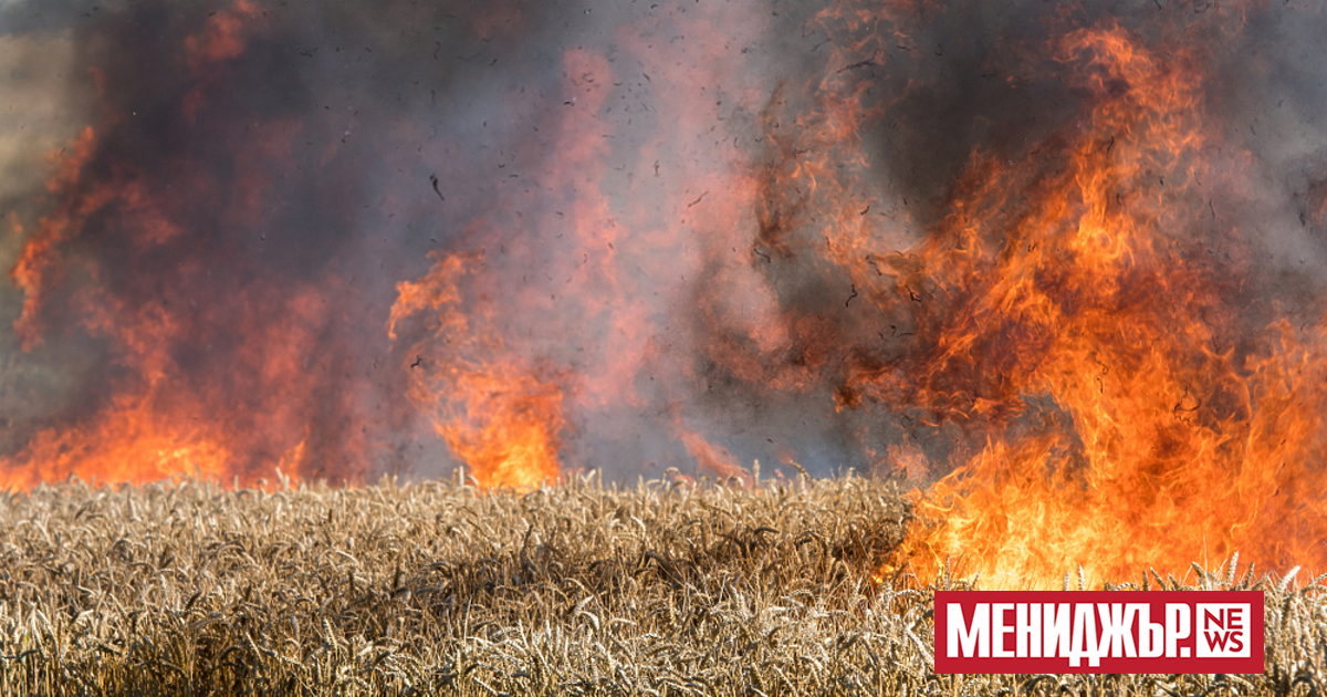 Сложна остава ситуацията и при двата пожара в Малешевска планина