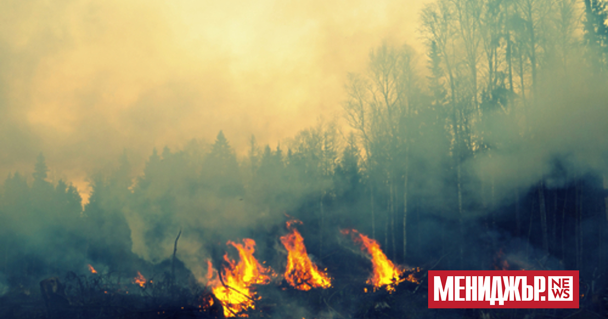 Два самолета със съответните екипажи и наземен персонал от Испания