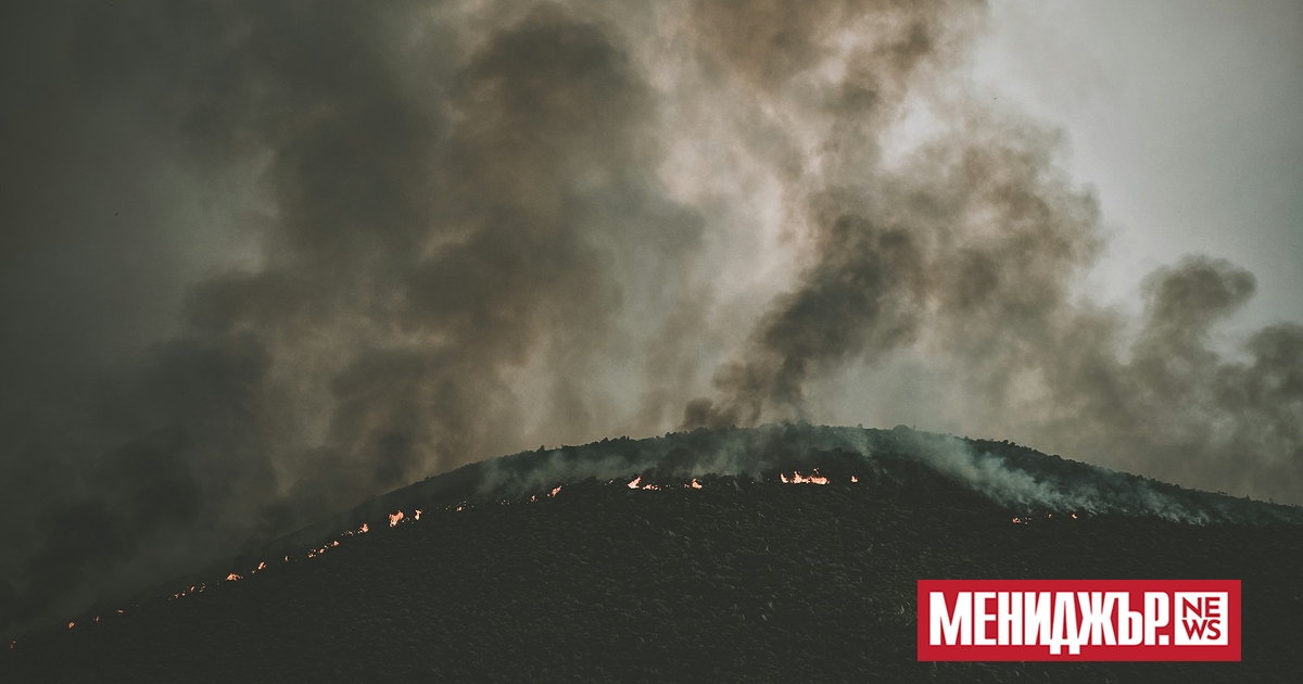 Днес е първи спокоен ден от доста време насам. В