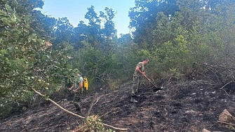 Още 217 военнослужещи се включват в пожарогасенето съобщиха от Министерството