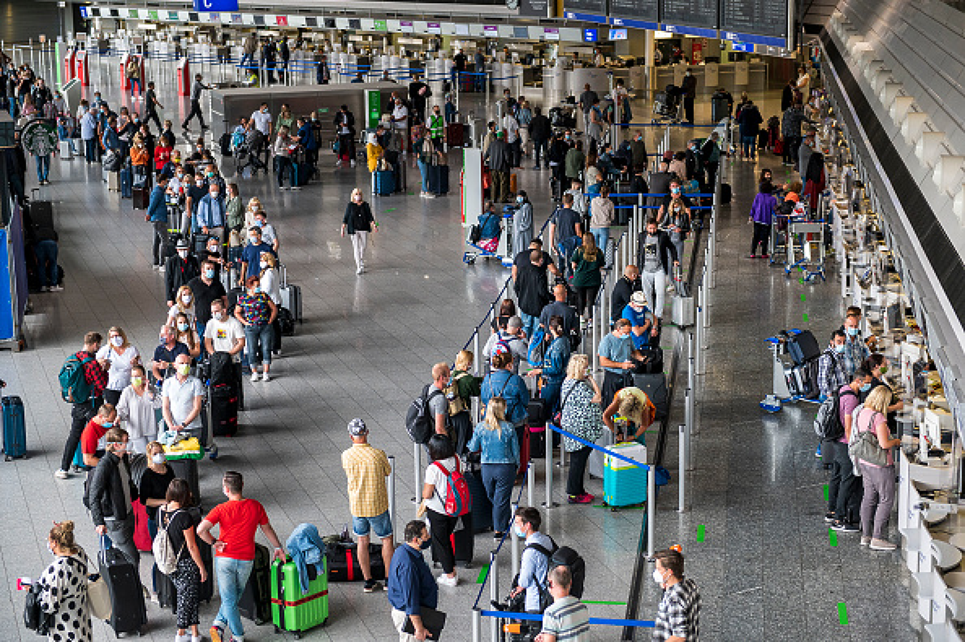 Плъх прекъсна тока на едно от най-натоварените летища в света 