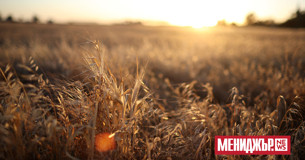 Природата е в основата на общото ни благосъстояние и на
