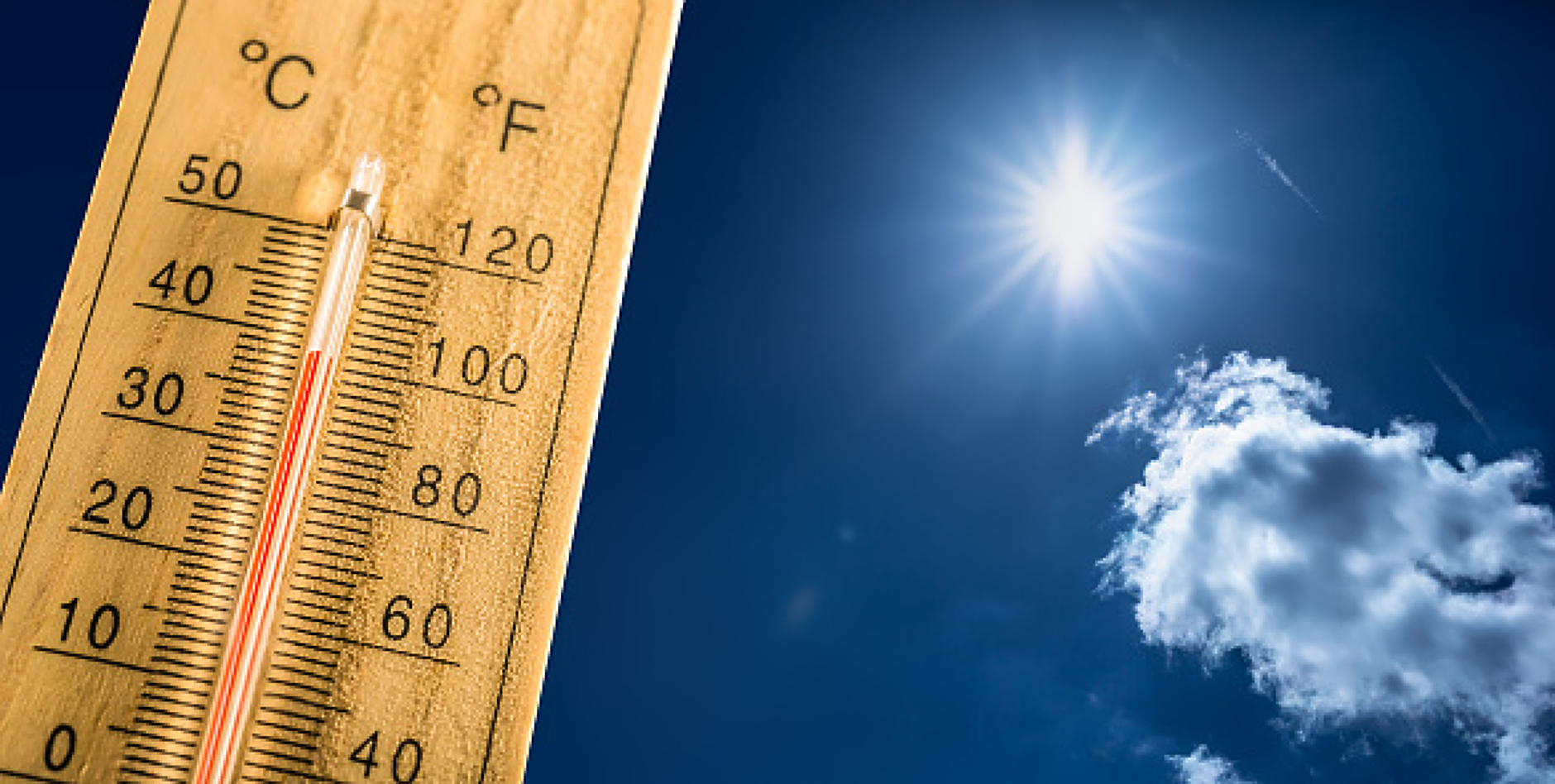 СЗО: Силните горещини причиняват над 175 000 смъртни случая годишно в европейския регион