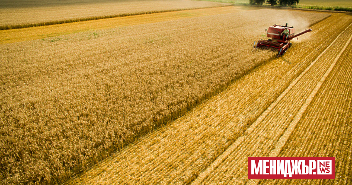 В първите дни на месец август продължава колебливо и донякъде