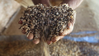 Цените на кафето арабика се повишиха рязко по време на