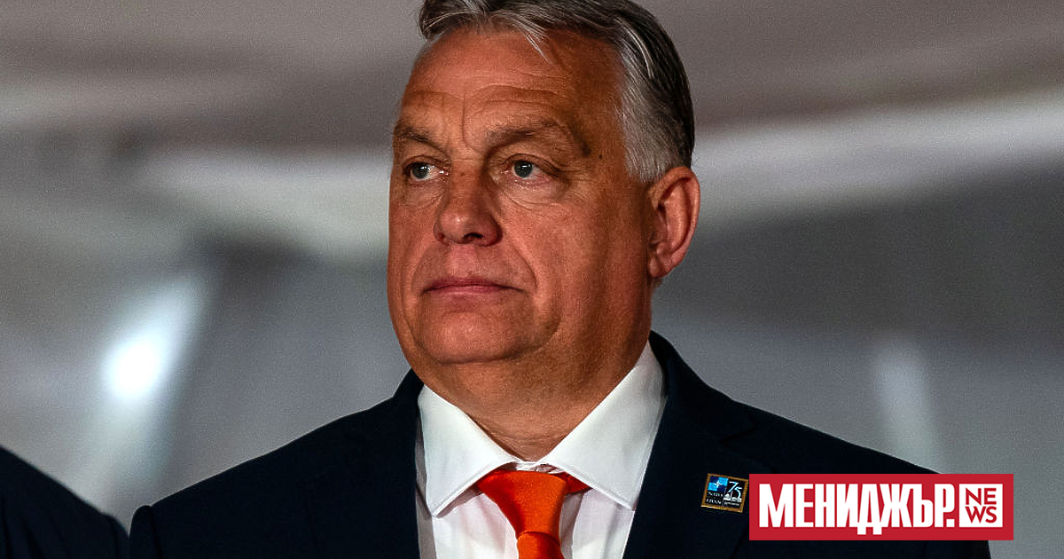 Германският член на Европейския парламент (ЕП) Кристин Андерсон предупреди за