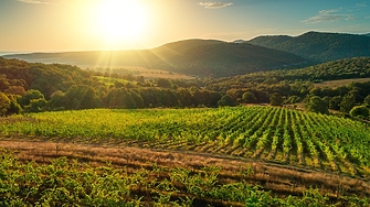 Днес ще бъде предимно слънчево Около и след обяд над