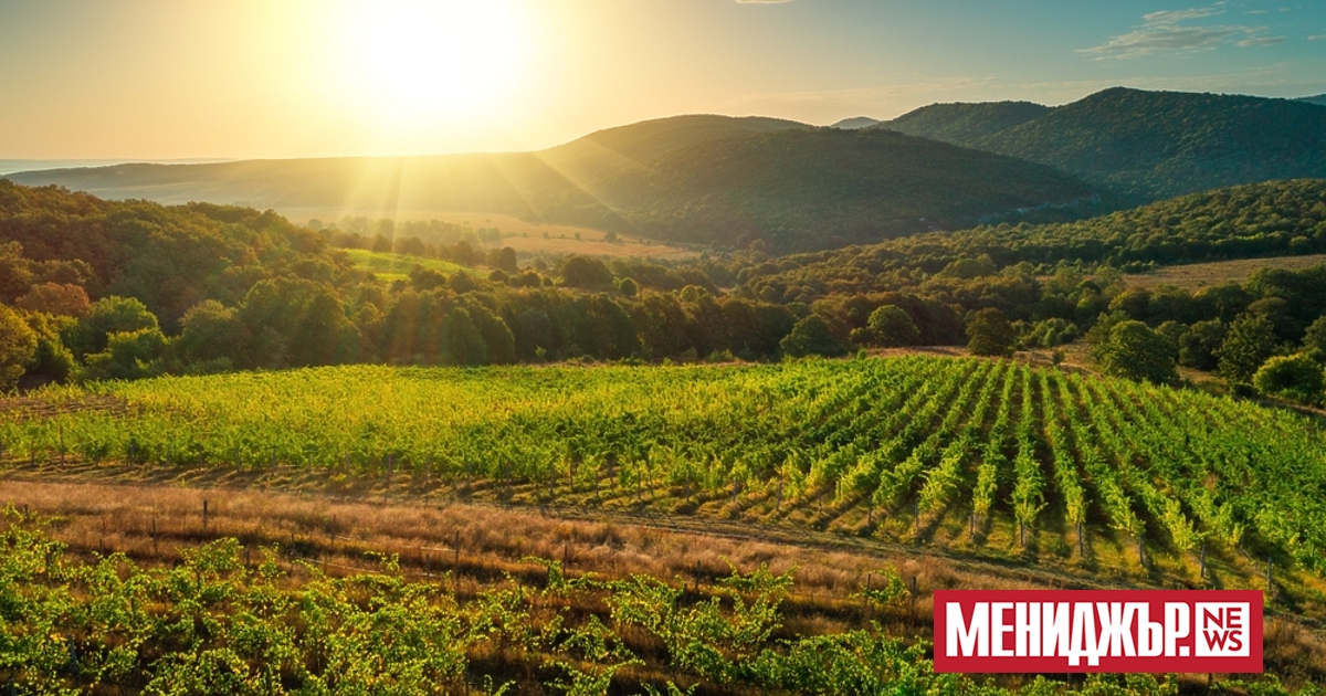 Днес ще бъде предимно слънчево. Около и след обяд над