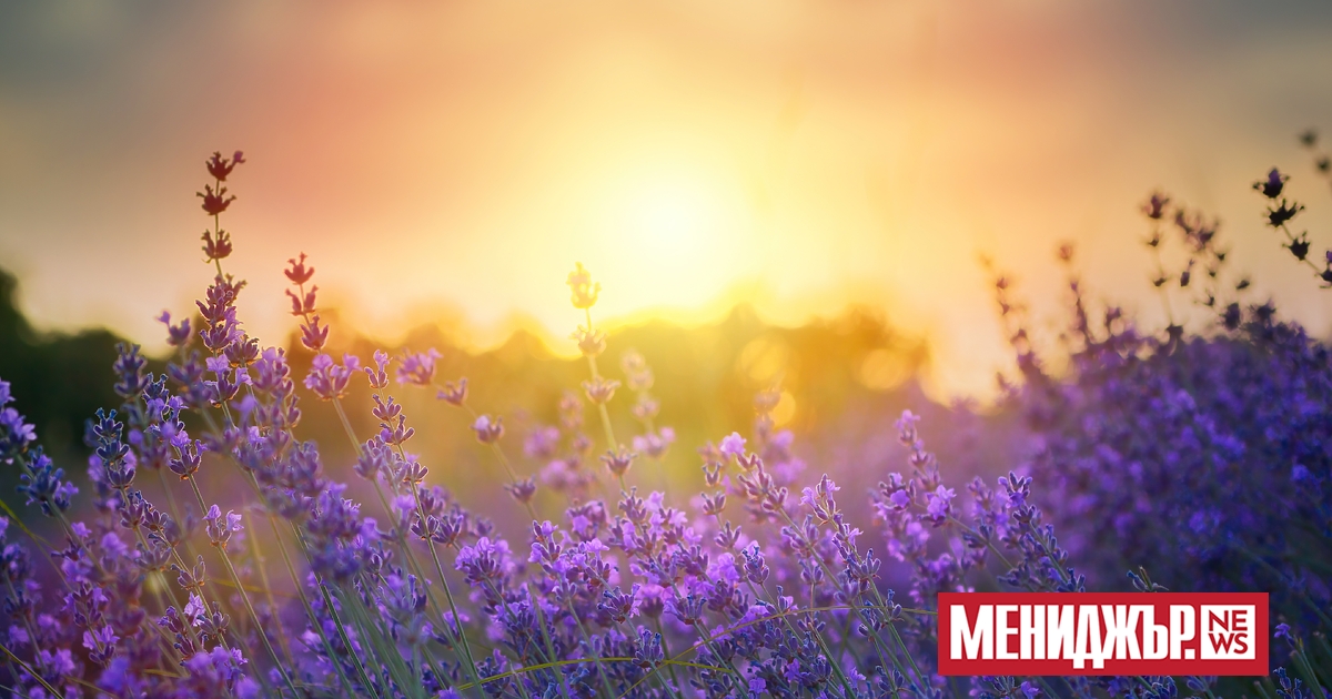 Слънчево ще остане времето и днес, но над Централна и