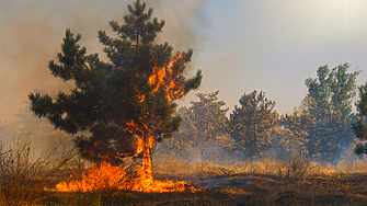 Продължава борбата с огнената стихия в област Атика където пожара