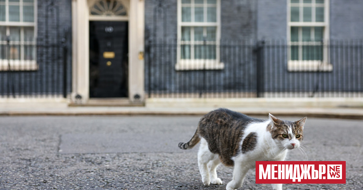 Високопоставени британски служители са работили през последната година върху план