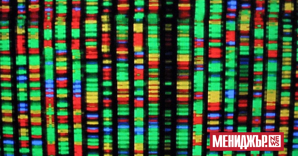 Психологът Джесика Айърс разказва за това как гените могат да