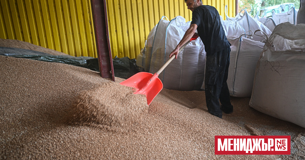 В края на месец август имаше леко раздвижване в развитието