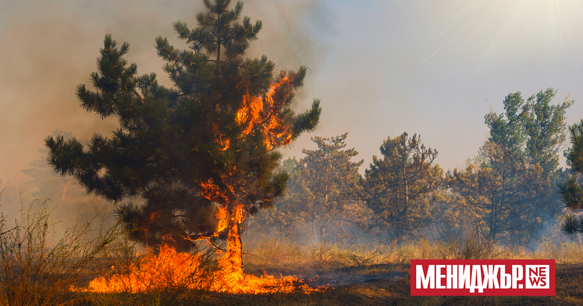 Кметът на Дупница Първан Дангов обави частично бедстмено положение за