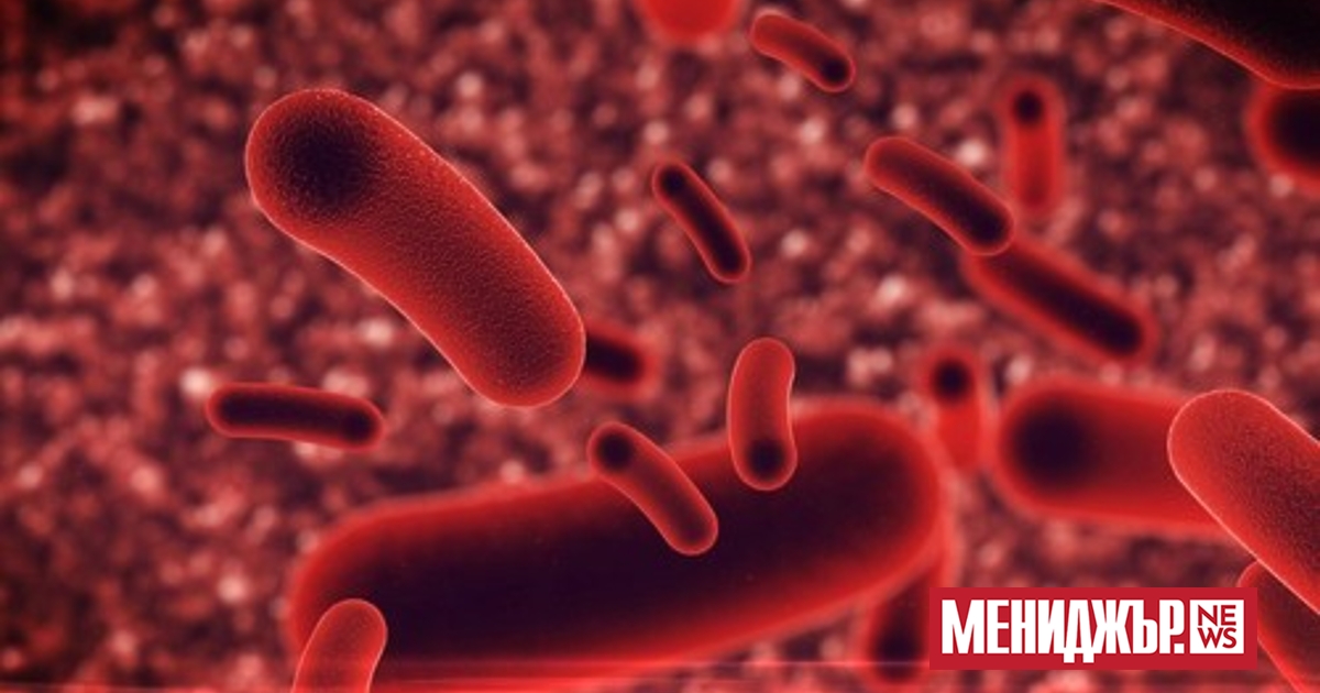 Устойчивите на лекарства патогени могат да причинят смъртта на повече