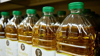 Пет износители на зехтин в Испания най големият производител в света