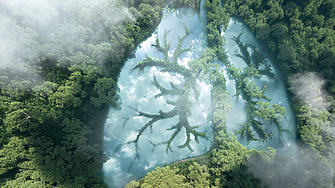 Два екипа от учени един европейски и един американски независимо