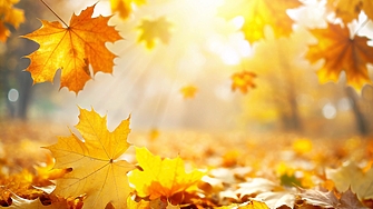 Преди обяд в Дунавската равнина и Източна България ниската слоеста