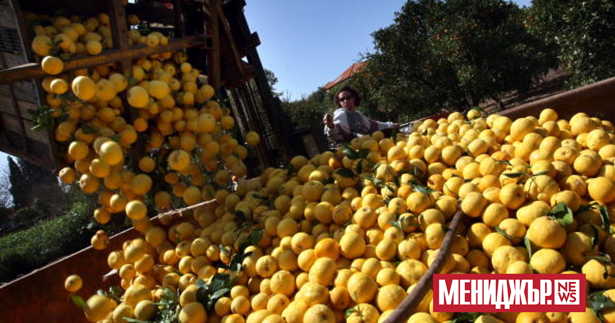 Британските търговци на дребно и едро бяха принудени да преминат