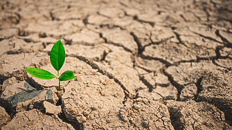 Интензивното земеделие и обезлесяването застрашават способността на планетата ни да